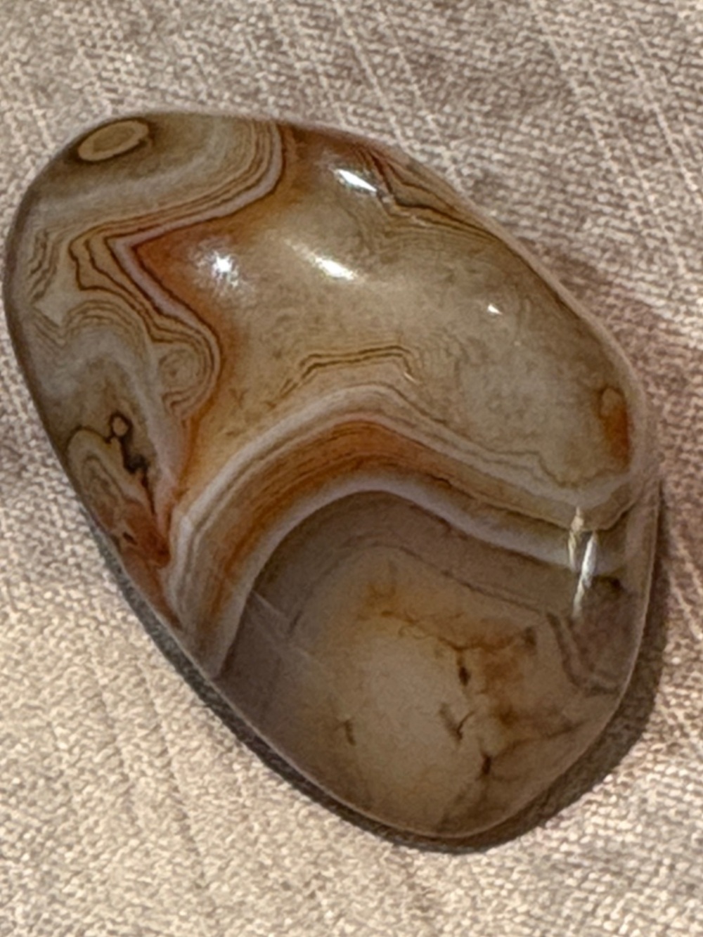 Polished Silk Agate Palmstone 310 karats 67 Grams Brown, Cream & Black Bands